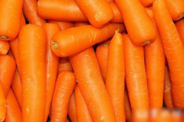 常吃胡萝卜让你健康长寿