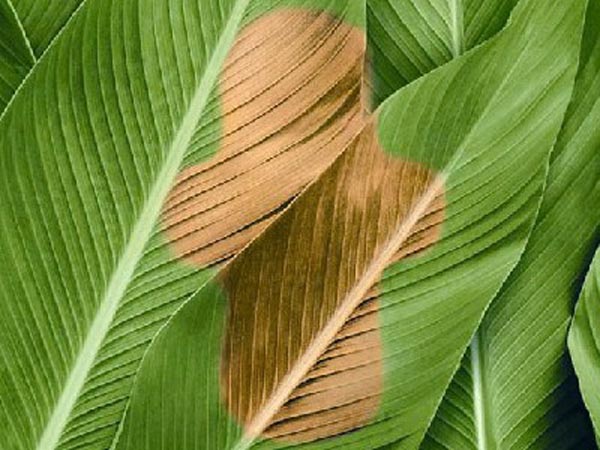 买了这么多年卫生巾白买了